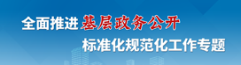 全面推进基层政务公开标准化规范化工作专题