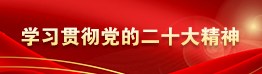 学习贯彻党的二十大精神