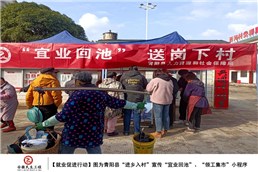 青阳县促进就业行动
